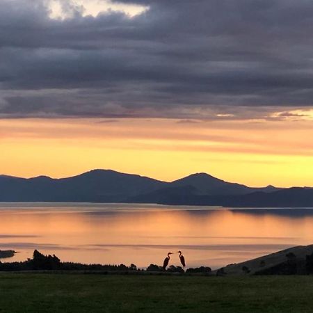 Hilltop Whakaipo Estate タウポ エクステリア 写真