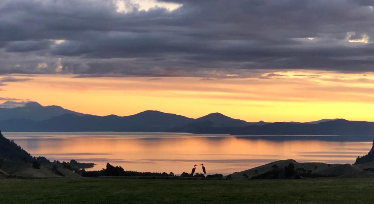 Hilltop Whakaipo Estate タウポ エクステリア 写真