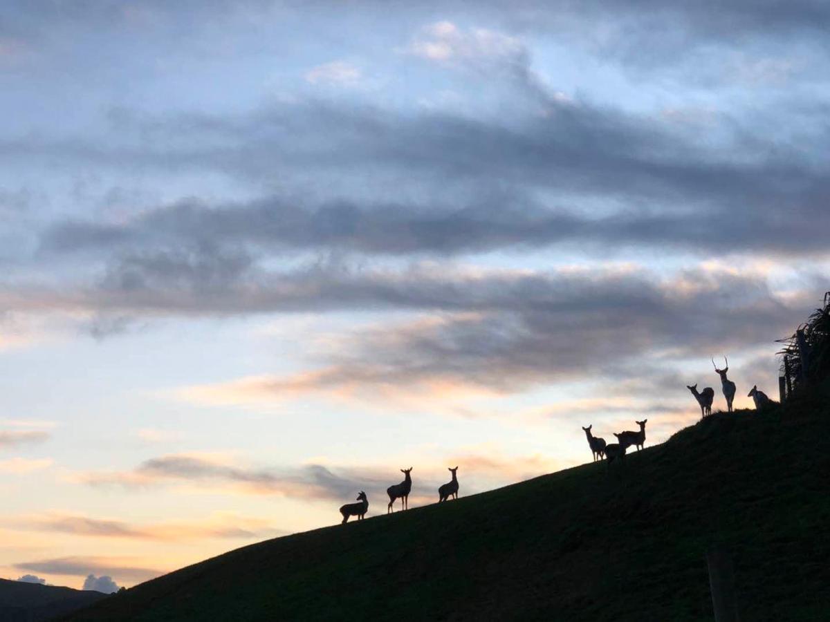 Hilltop Whakaipo Estate タウポ エクステリア 写真