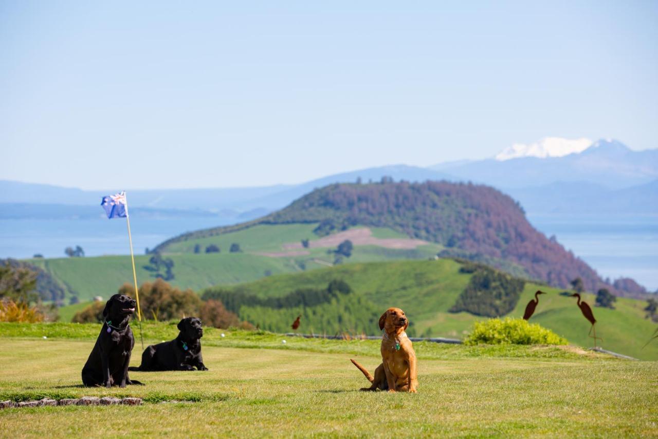 Hilltop Whakaipo Estate タウポ エクステリア 写真