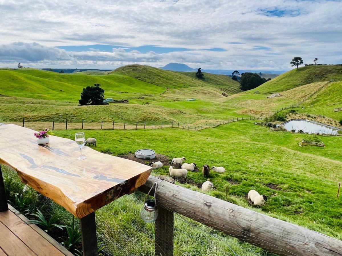 Hilltop Whakaipo Estate タウポ エクステリア 写真