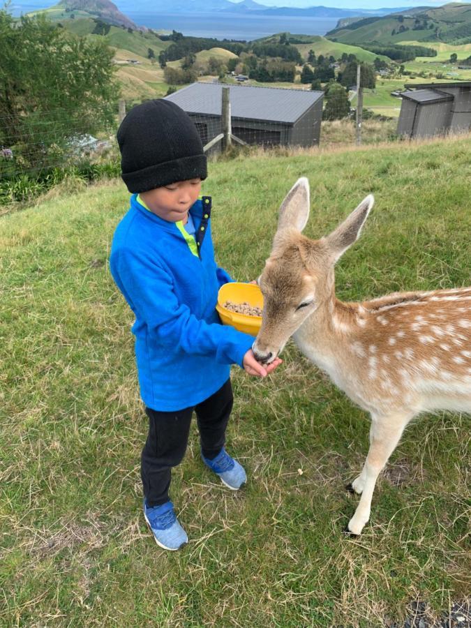 Hilltop Whakaipo Estate タウポ エクステリア 写真