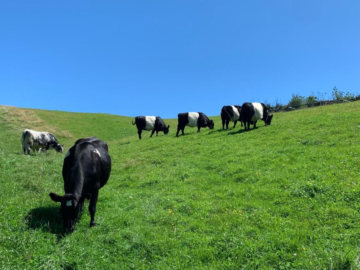 Hilltop Whakaipo Estate タウポ エクステリア 写真