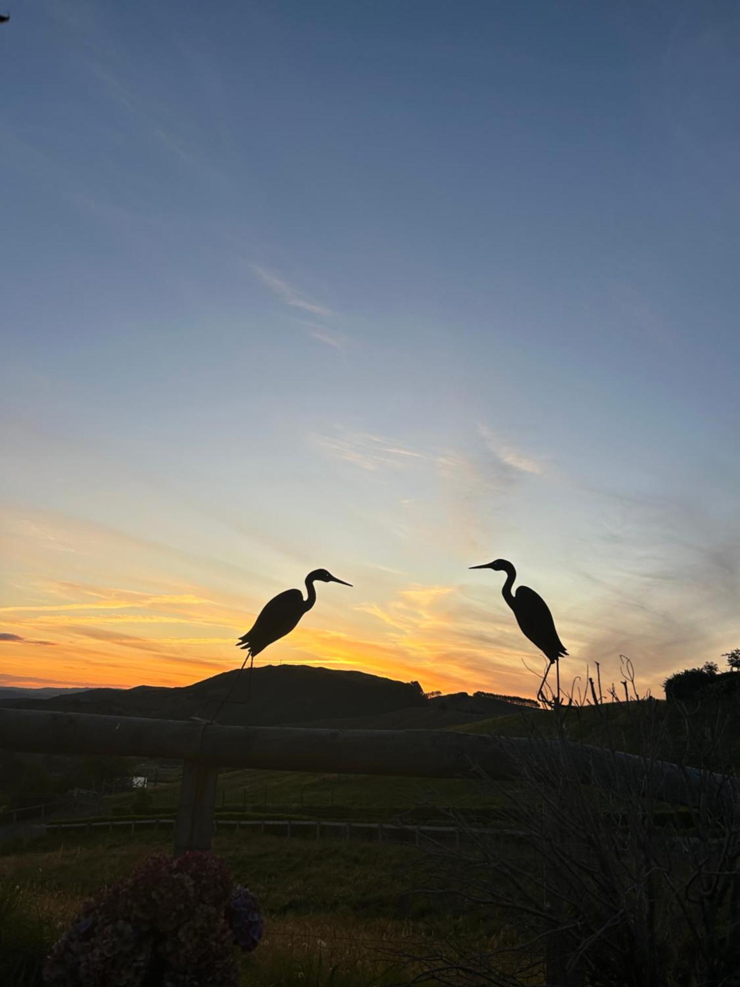 Hilltop Whakaipo Estate タウポ エクステリア 写真