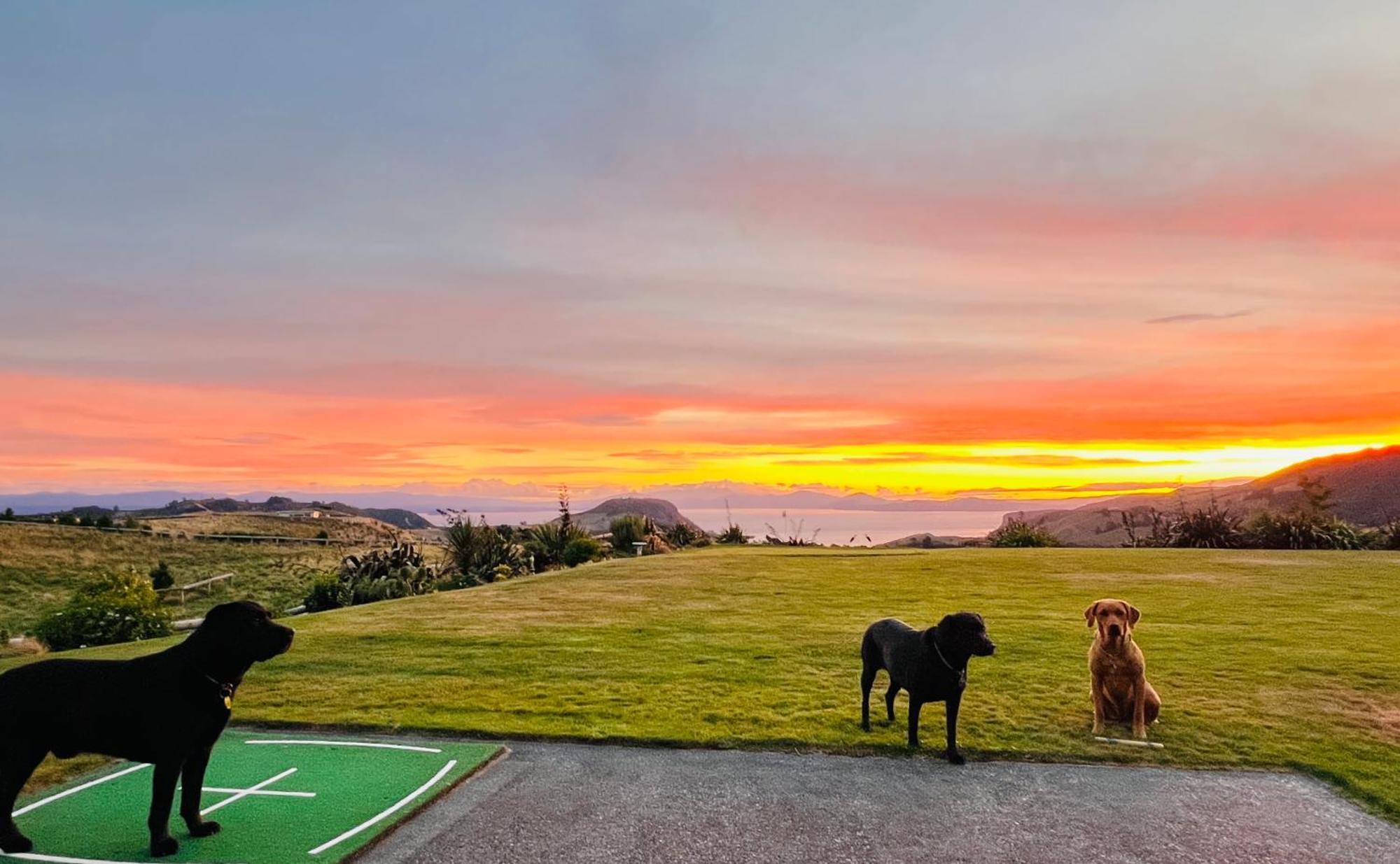 Hilltop Whakaipo Estate タウポ エクステリア 写真