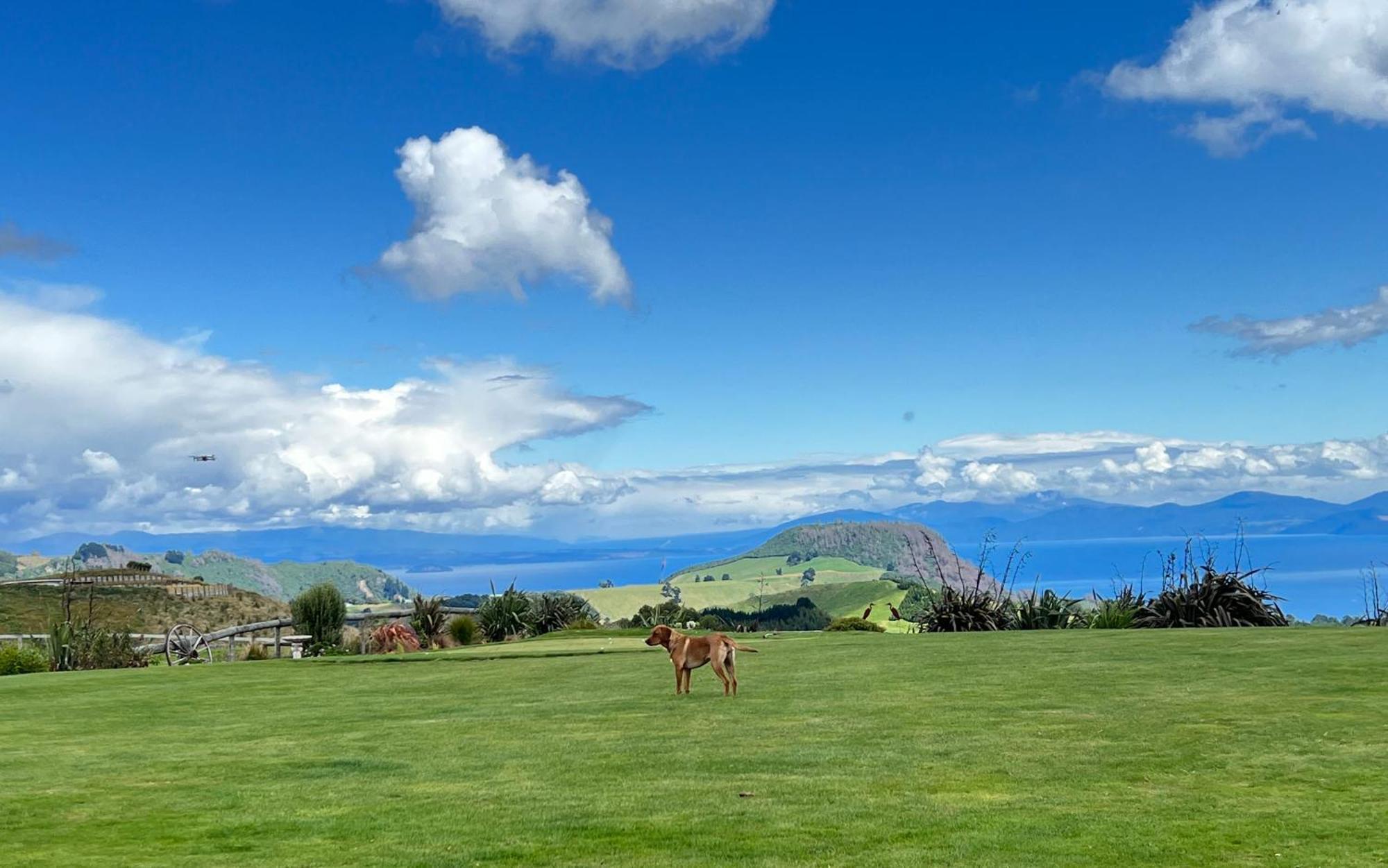 Hilltop Whakaipo Estate タウポ エクステリア 写真