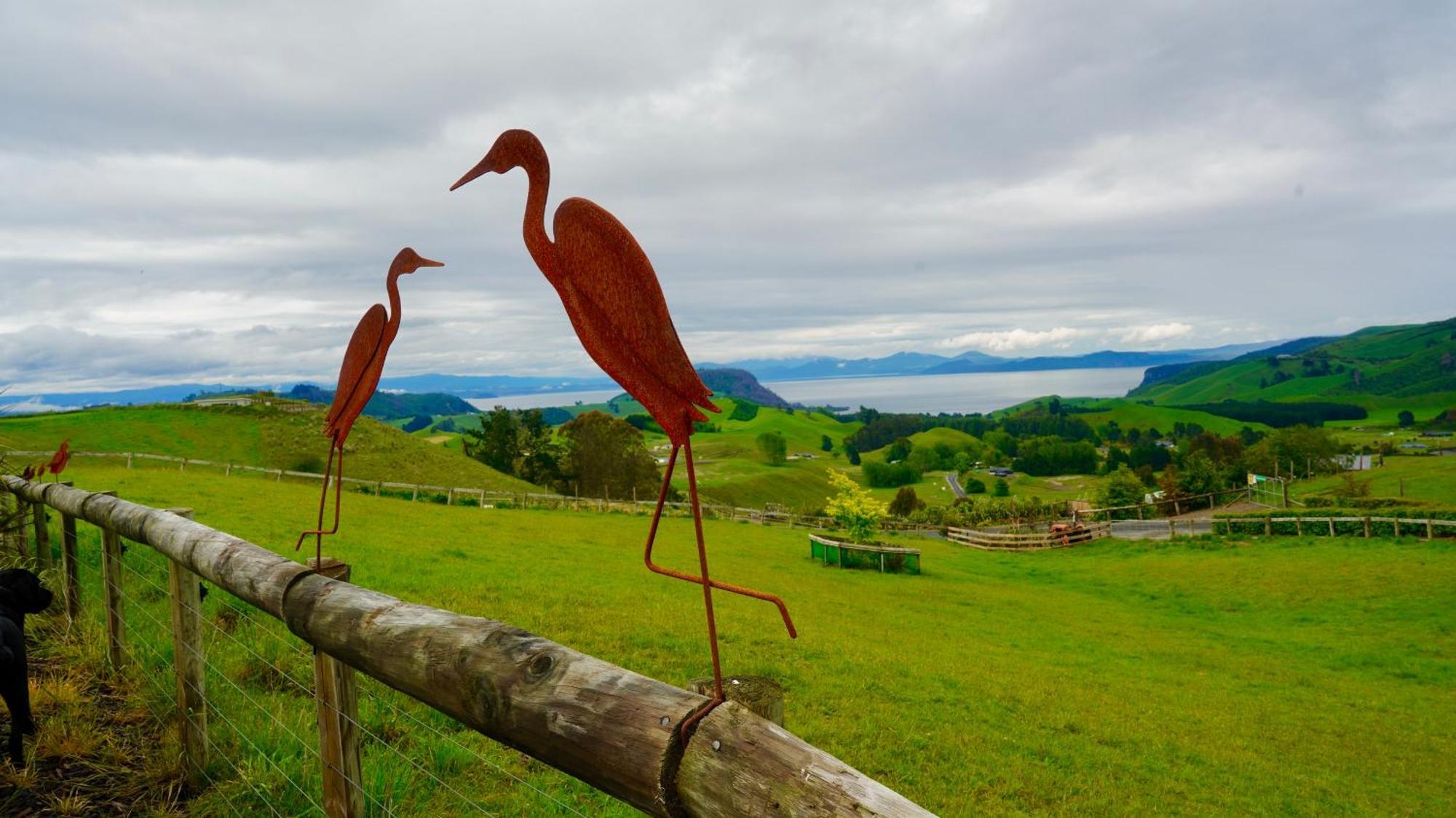 Hilltop Whakaipo Estate タウポ エクステリア 写真