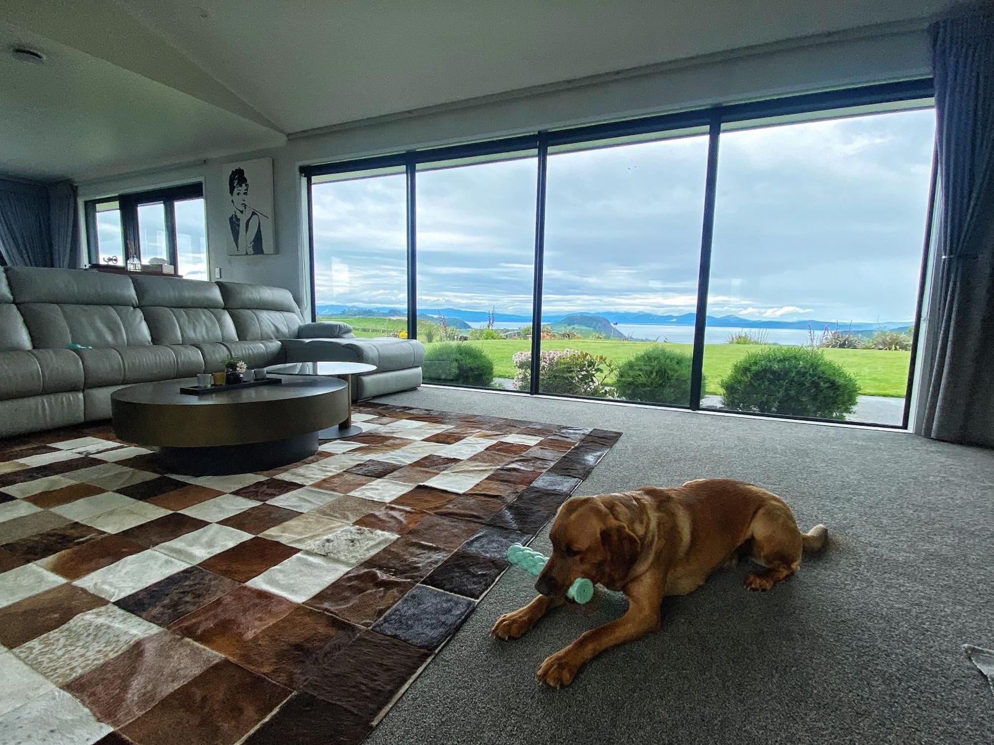 Hilltop Whakaipo Estate タウポ エクステリア 写真