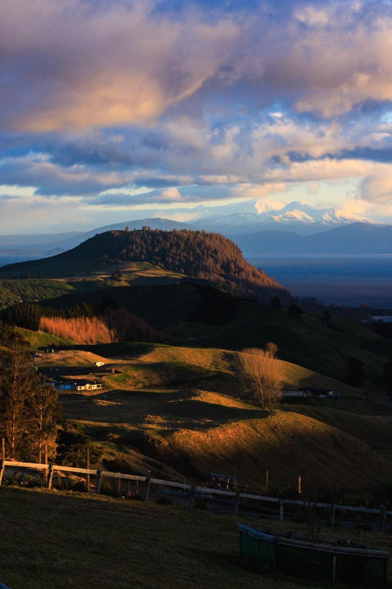 Hilltop Whakaipo Estate タウポ エクステリア 写真