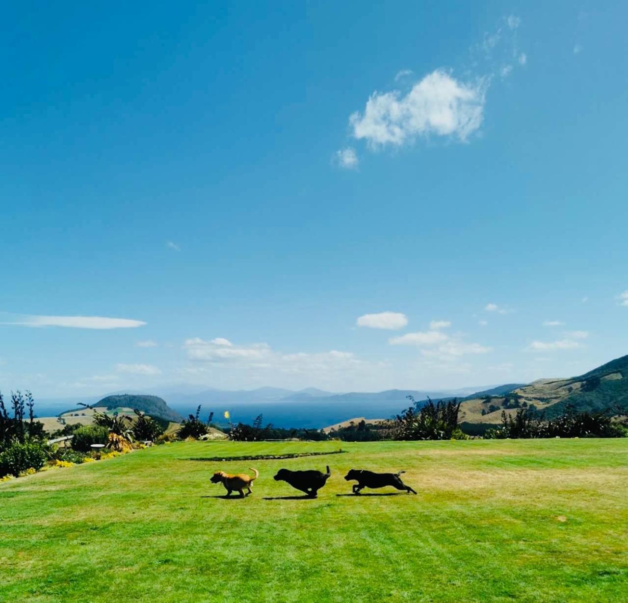 Hilltop Whakaipo Estate タウポ エクステリア 写真