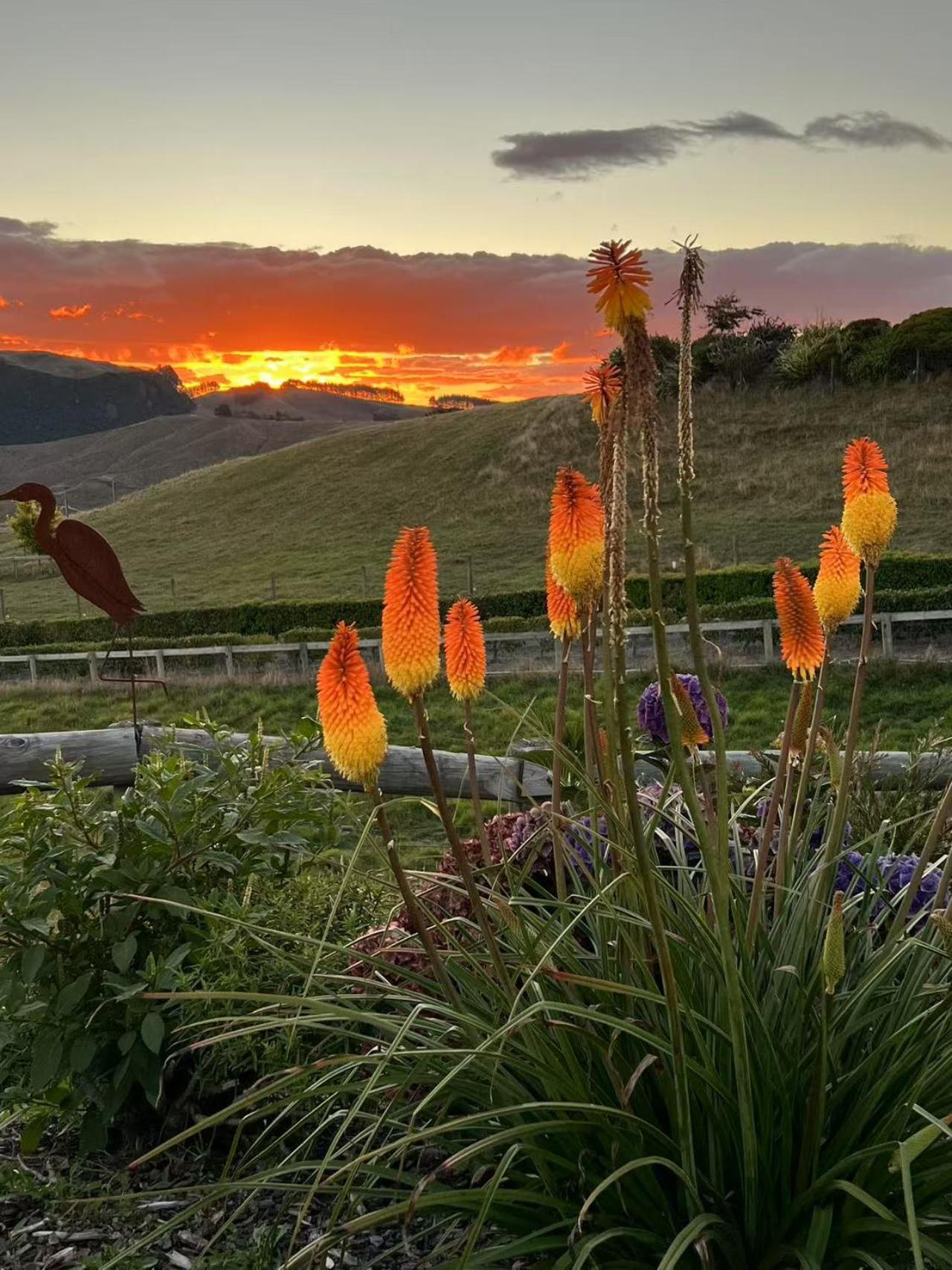 Hilltop Whakaipo Estate タウポ エクステリア 写真